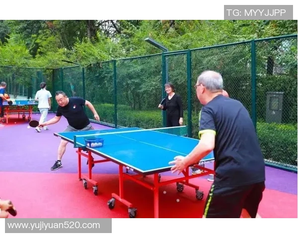 从零基础到高手之路乒乓球灵活性训练全攻略与技巧分享